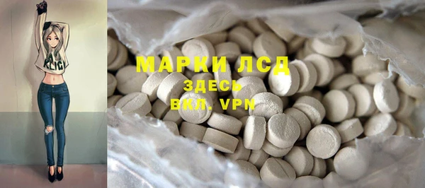 сатива Балахна