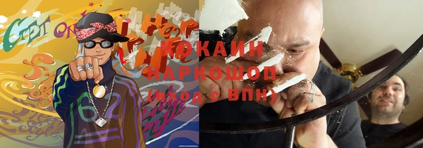 сатива Балахна