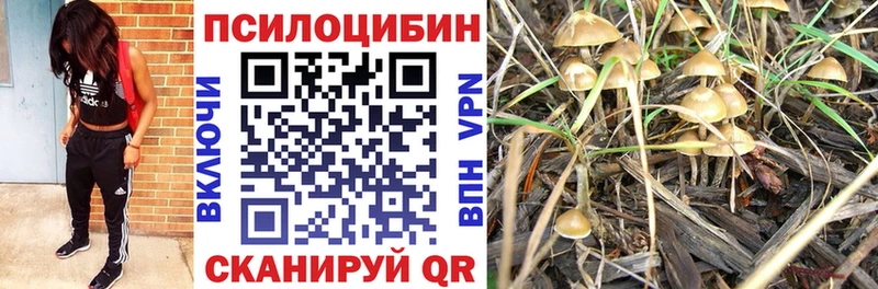 ОМГ ОМГ   Сафоново  Галлюциногенные грибы Cubensis 
